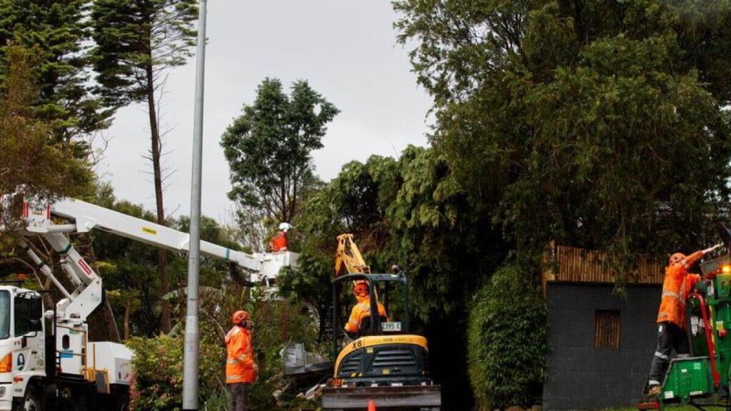 tree removal Sydney during storm season