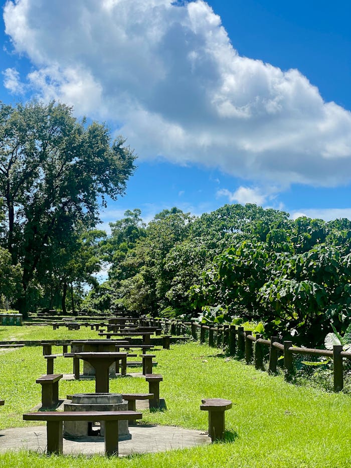 Serene outdoor park featuring rows of picnic tables under a bright blue sky.