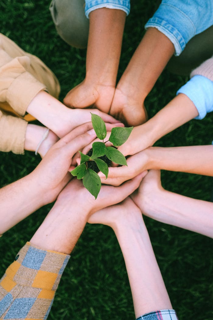 why-choose-us Hands united around a plant symbolizing teamwork and eco-friendly efforts outdoors.
