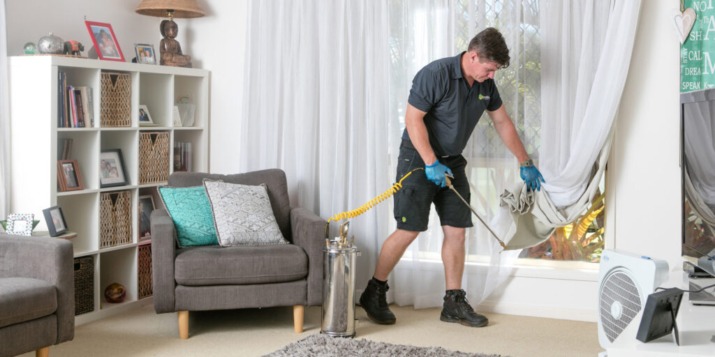 How to Choose a Termite Control Company in Sydney You Can Trust