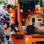Understanding Local Tree Removal Permits and Regulations in Australia