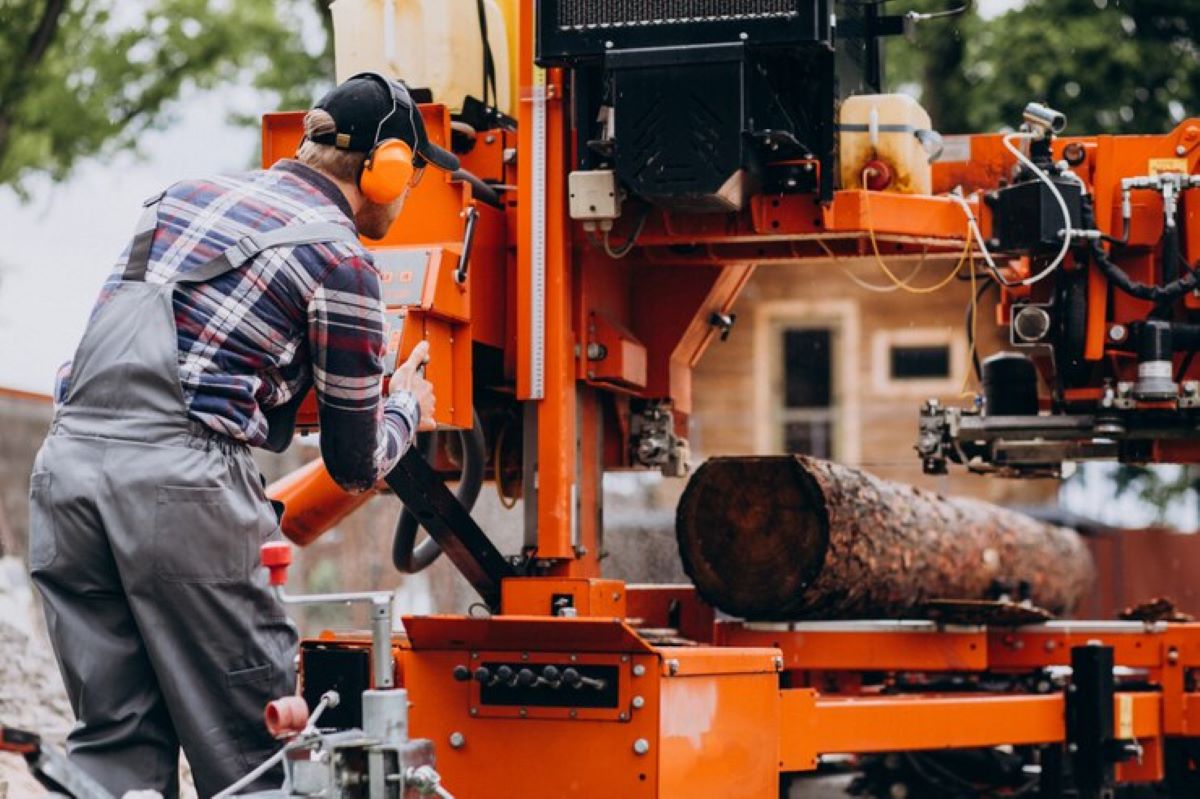 Tree Removal