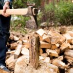 Tree Stump Grinding: What Happens to the Roots After Grinding?