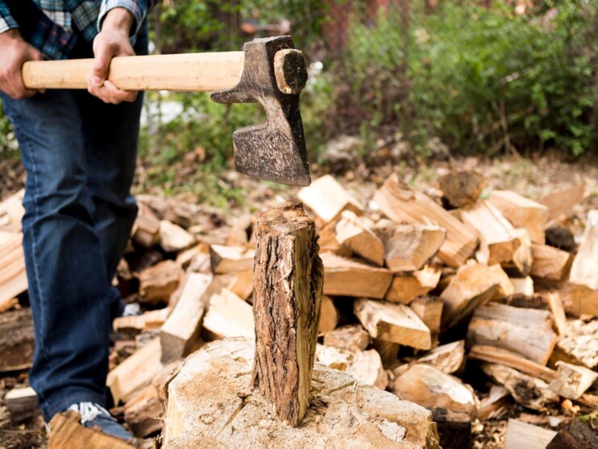 Tree Stump Grinding