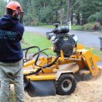 How to Estimate Your Stump Grinding Cost Before Hiring