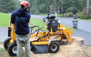 Read more about the article How to Estimate Your Stump Grinding Cost Before Hiring