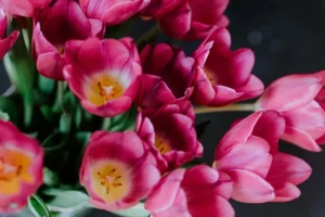 Read more about the article Why Residents Prefer a Florist in Allambie Heights