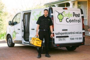 Read more about the article Residential Pest Control Sydney: Seasonal Strategies That Actually Work