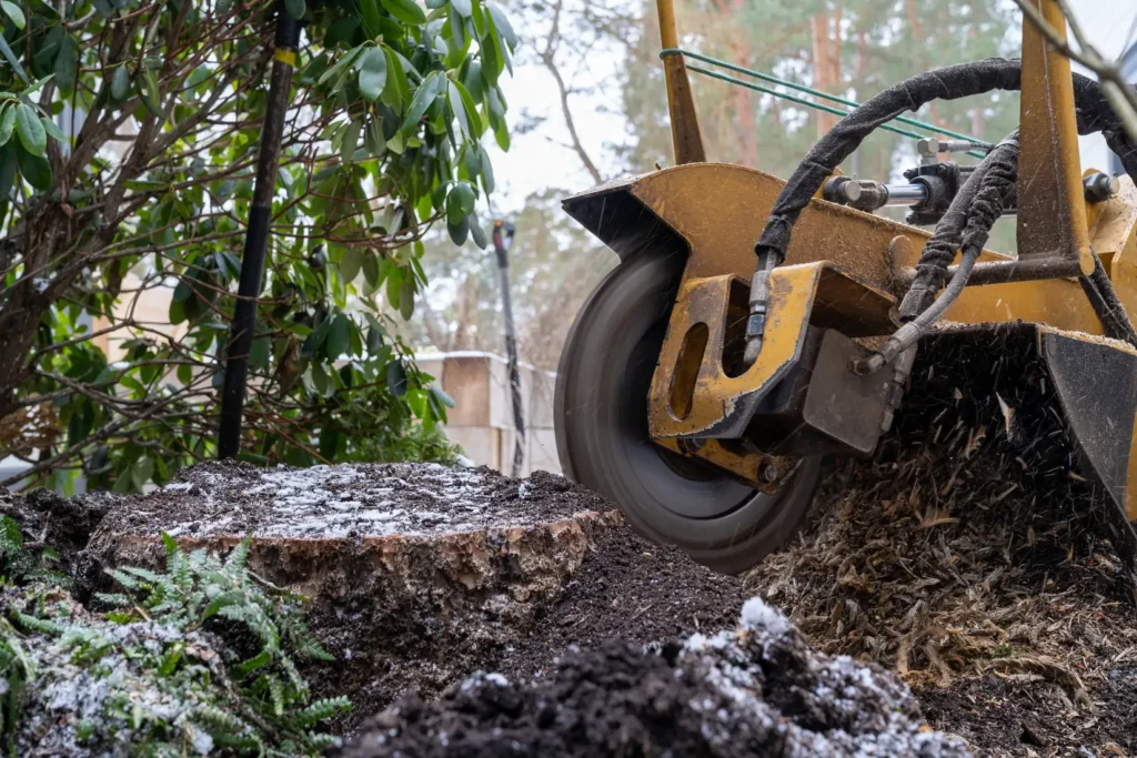 Stump Grinding Sydney