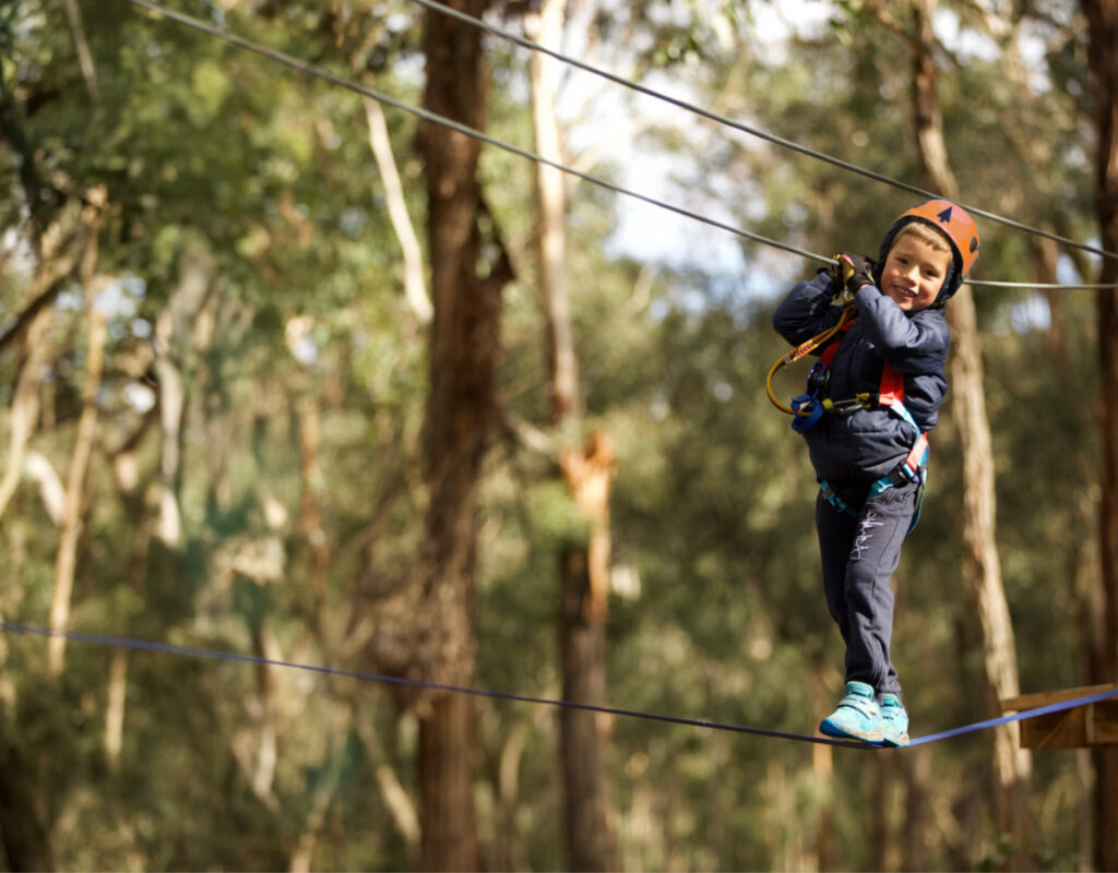 Tree Services Near Me: A Complete Sydney Booking Guide