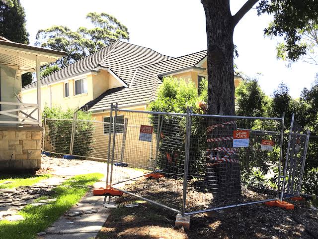 Tree Cutting Services Near Me: Safe Options for Sydney Properties