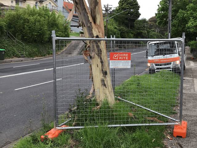 You are currently viewing Tree Cutting Services Near Me: Safe Options for Sydney Properties