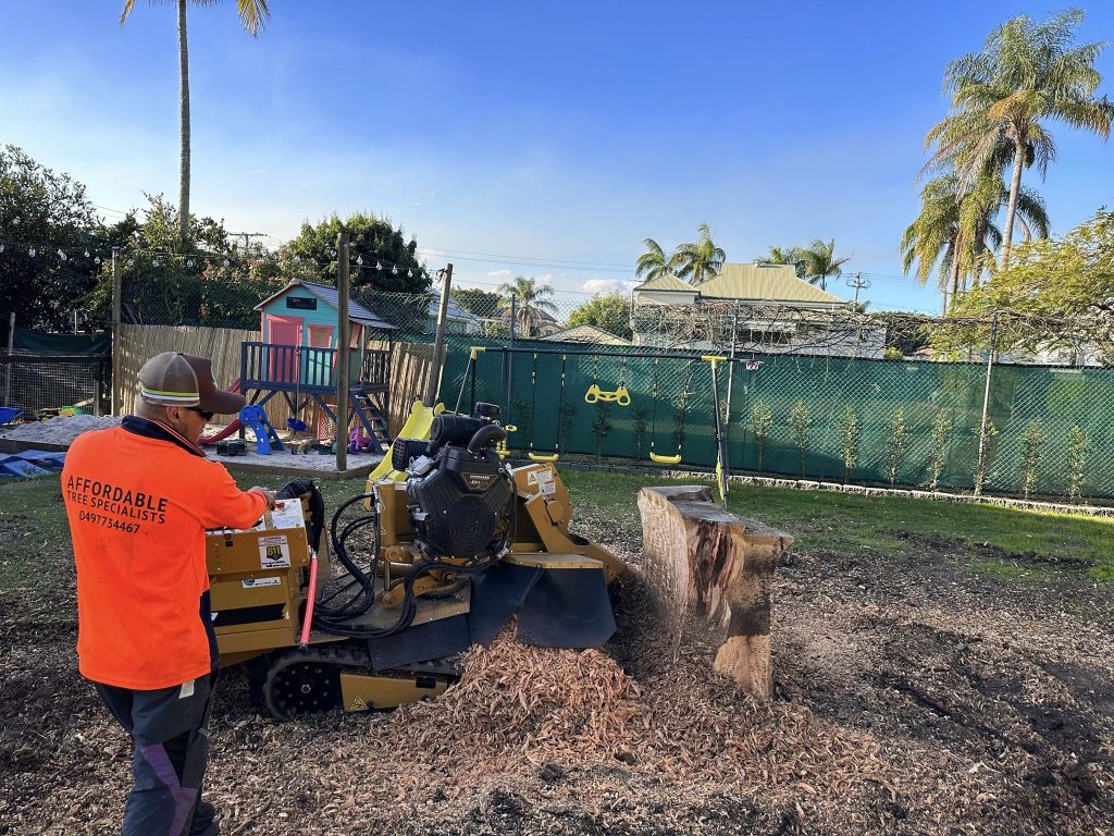 You are currently viewing Finding Tree Stump Removal Near Me Without Overpaying