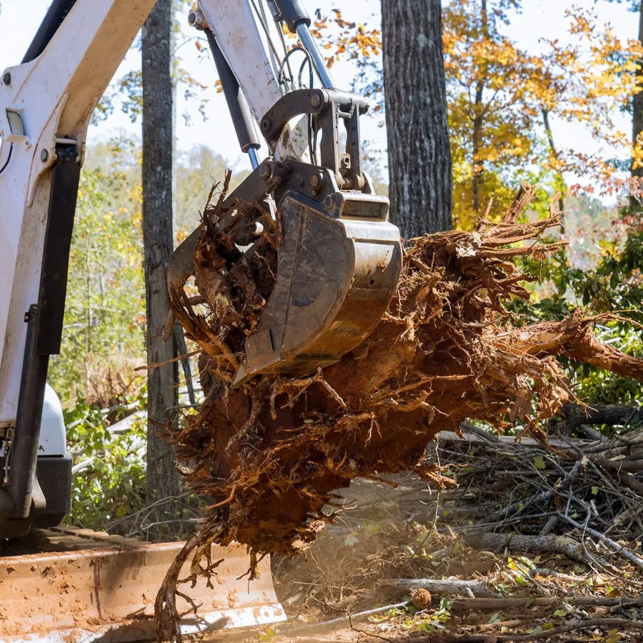 Tree Stump Removals